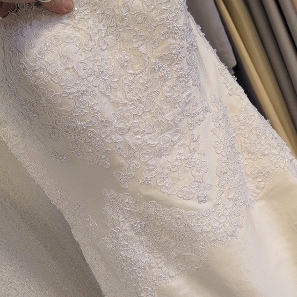 Luxurious Ivory Bridal Gown with Lace Details - Picture 8 of 9